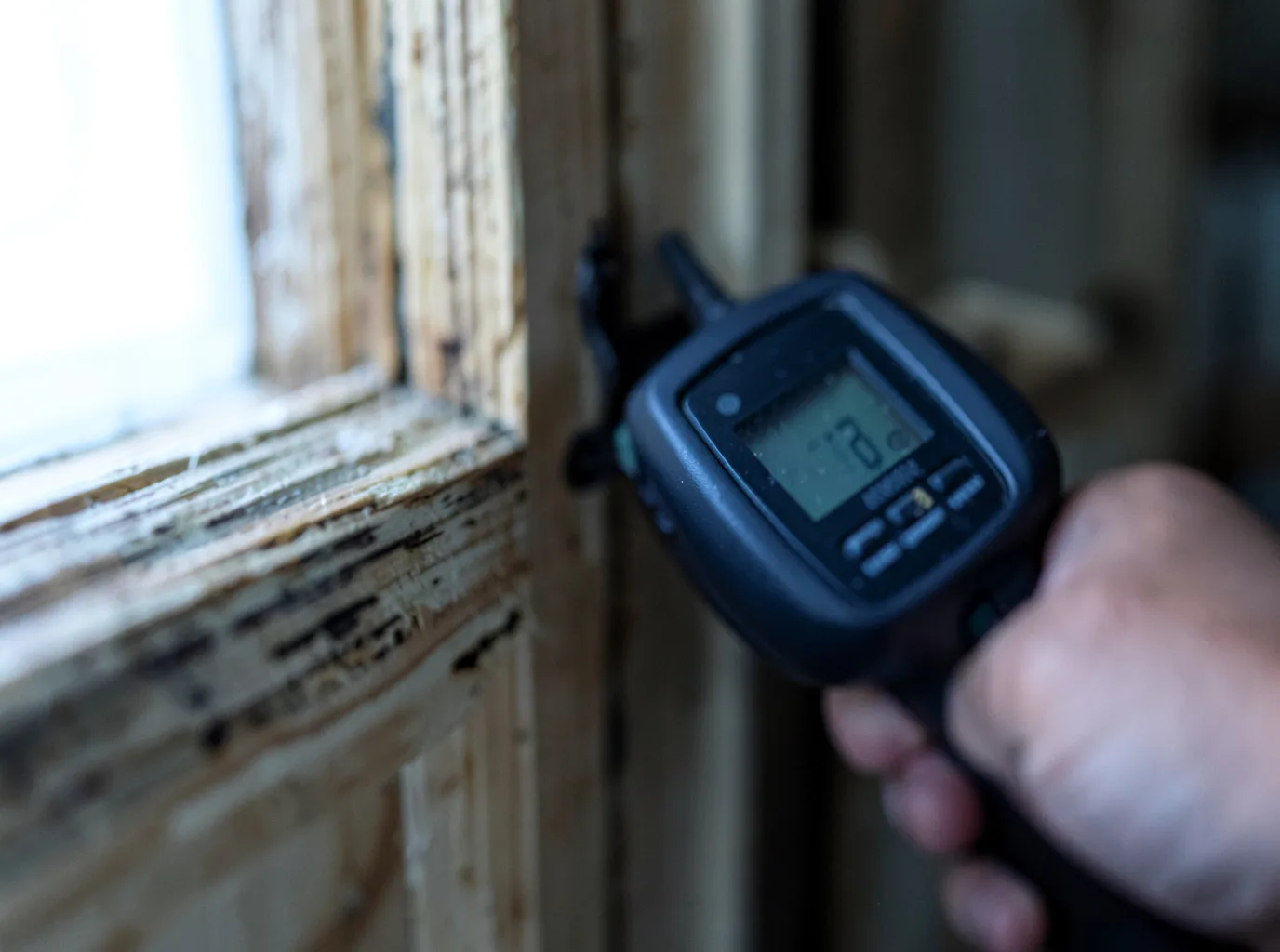 Moisture Inspection And Documentation in Hiltons, VA
